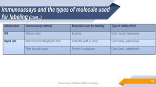 Immunoassays and the types of molecule used
for labeling (Cont..)
53
Essentials of Medical Microbiology
Abbreviation Immunoassay method Molecules used for labeling Type of visible effect
WB Western blot Enzyme Color band (naked eye)
Rapid test Immunochromatographic test Colloidal gold or silver Color band, (naked eye)
Flow through assay Protein A conjugate Color band, (naked eye)
 