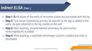 Indirect ELISA (Cont..)
67
▰ Step 1: Solid phase of the wells of microtiter plates are precoated with the Ag.
▰ Step 2: Test serum (containing primary Ab specific to the Ag) is added to the
wells. Ab gets attached to the Ag coated on the well
▰ Step 3: After washing, enzyme-labeled secondary Ab (anti-human
immunoglobulin) is added.
▰ Step 4: After washing, a substrate-chromogen system is added and color is
developed.
Essentials of Medical Microbiology
 