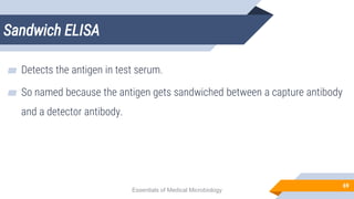 Sandwich ELISA
69
▰ Detects the antigen in test serum.
▰ So named because the antigen gets sandwiched between a capture antibody
and a detector antibody.
Essentials of Medical Microbiology
 