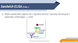 Sandwich ELISA (Cont..)
71
▰ Wells coated with capture Ab + Ag (test serum) + primary Ab-enzyme +
substrate–chromogen → color
Essentials of Medical Microbiology
 