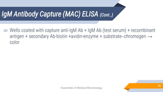 IgM Antibody Capture (MAC) ELISA (Cont..)
75
▰ Wells coated with capture anti-IgM Ab + IgM Ab (test serum) + recombinant
antigen + secondary Ab-biotin +avidin-enzyme + substrate–chromogen →
color
Essentials of Medical Microbiology
 