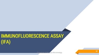 IMMUNOFLUORESCENCE ASSAY
(IFA)
97
Essentials of Medical Microbiology
 