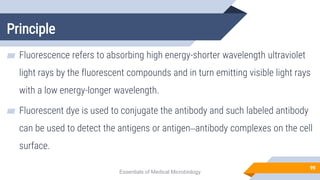 Principle
99
▰ Fluorescence refers to absorbing high energy-shorter wavelength ultraviolet
light rays by the fluorescent compounds and in turn emitting visible light rays
with a low energy-longer wavelength.
▰ Fluorescent dye is used to conjugate the antibody and such labeled antibody
can be used to detect the antigens or antigen–antibody complexes on the cell
surface.
Essentials of Medical Microbiology
 