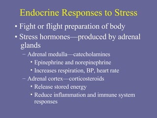 Endocrine Responses to Stress •  Fight or flight preparation of body •  Stress hormones—produced by adrenal glands Adrenal medulla—catecholamines Epinephrine and norepinephrine Increases respiration, BP, heart rate Adrenal cortex—corticosteroids Release stored energy Reduce inflammation and immune system responses 