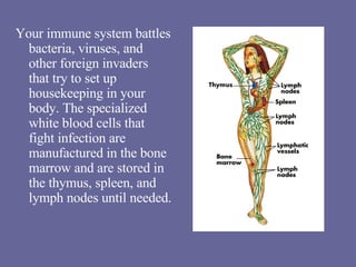 Your immune system battles bacteria, viruses, and other foreign invaders that try to set up housekeeping in your body. The specialized white blood cells that fight infection are manufactured in the bone marrow and are stored in the thymus, spleen, and lymph nodes until needed. 