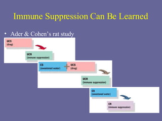 Immune Suppression Can Be Learned Ader & Cohen’s rat study 