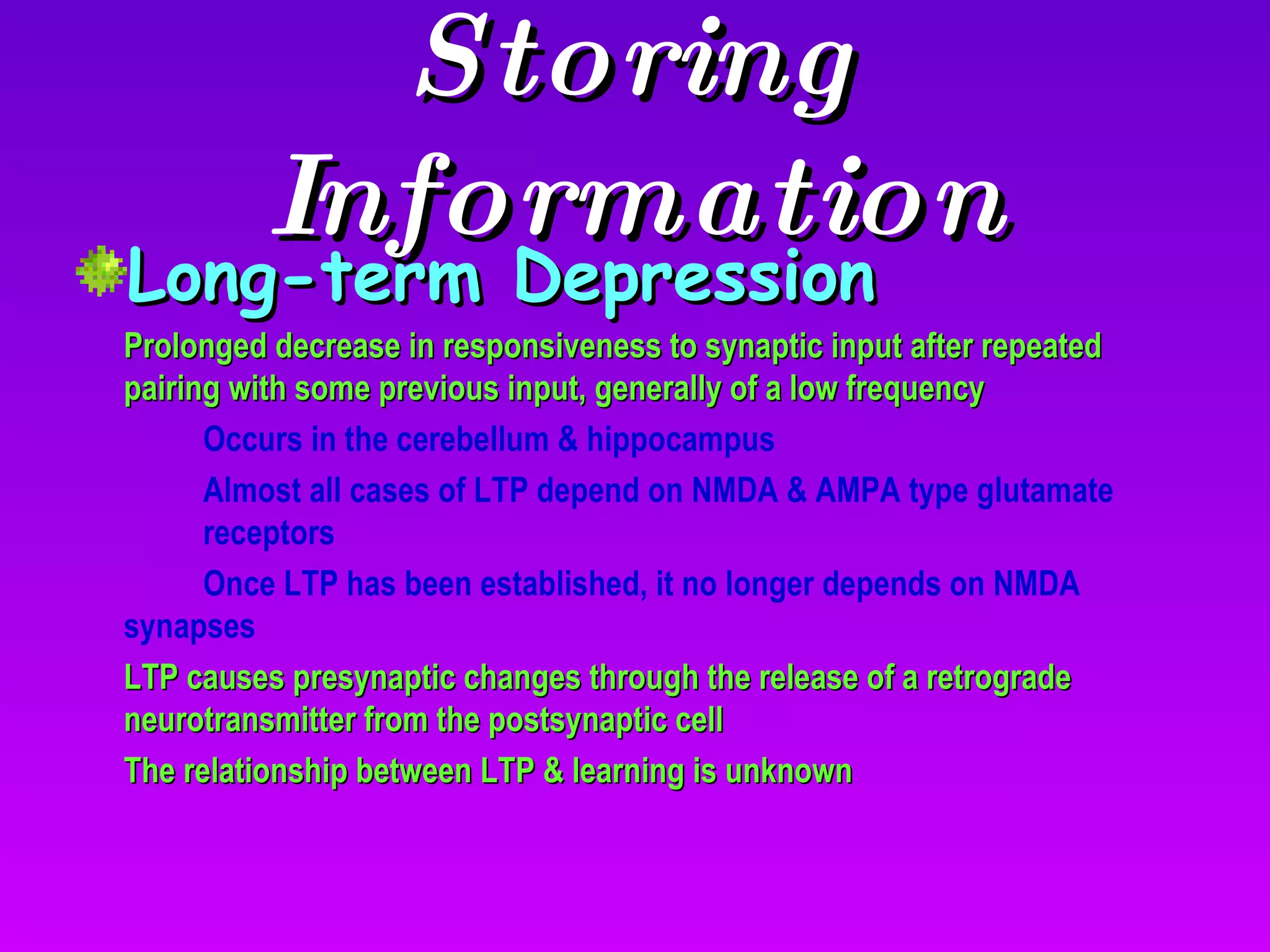 Storing Information Long-term Depression Prolonged decrease in responsiveness to synaptic input after repeated pairing with some previous input, generally of a low frequency Occurs in the cerebellum & hippocampus Almost all cases of LTP depend on NMDA & AMPA type glutamate  receptors Once LTP has been established, it no longer depends on NMDA  synapses LTP causes presynaptic changes through the release of a retrograde neurotransmitter from the postsynaptic cell The relationship between LTP & learning is unknown 