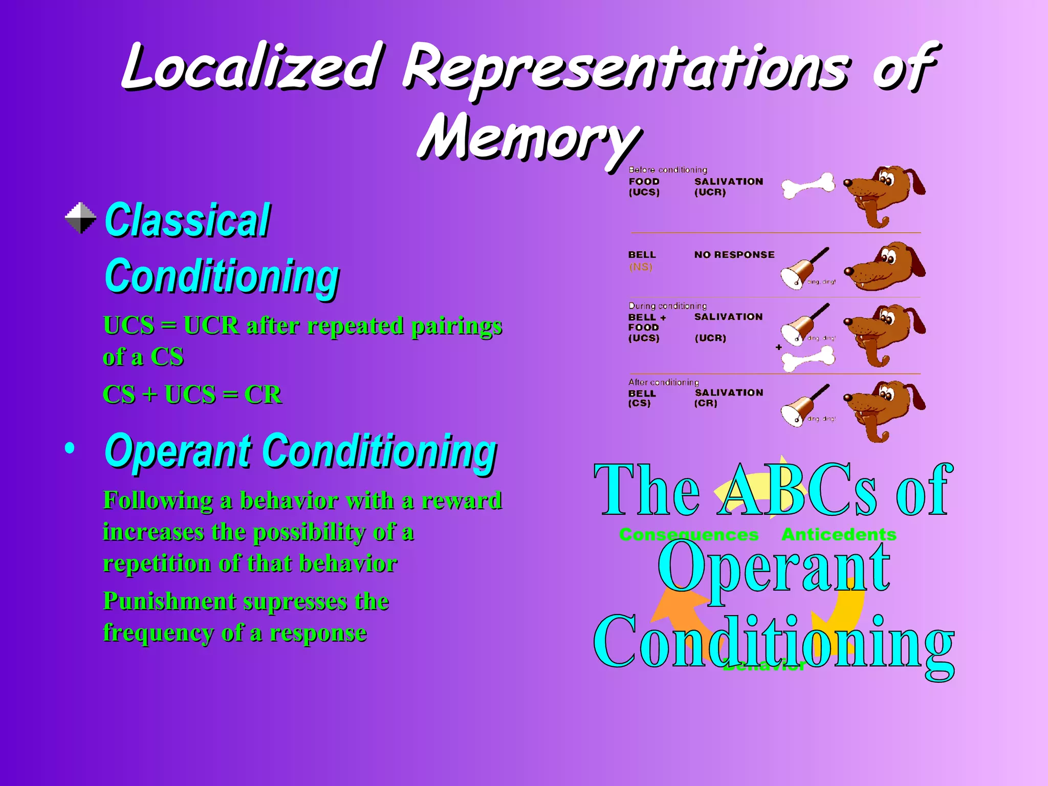 Localized Representations of Memory Classical Conditioning UCS = UCR after repeated pairings of a CS CS + UCS = CR Operant Conditioning Following a behavior with a reward increases the possibility of a repetition of that behavior Punishment supresses the frequency of a response The ABCs of Operant Conditioning Anticedents Behavior Consequences 