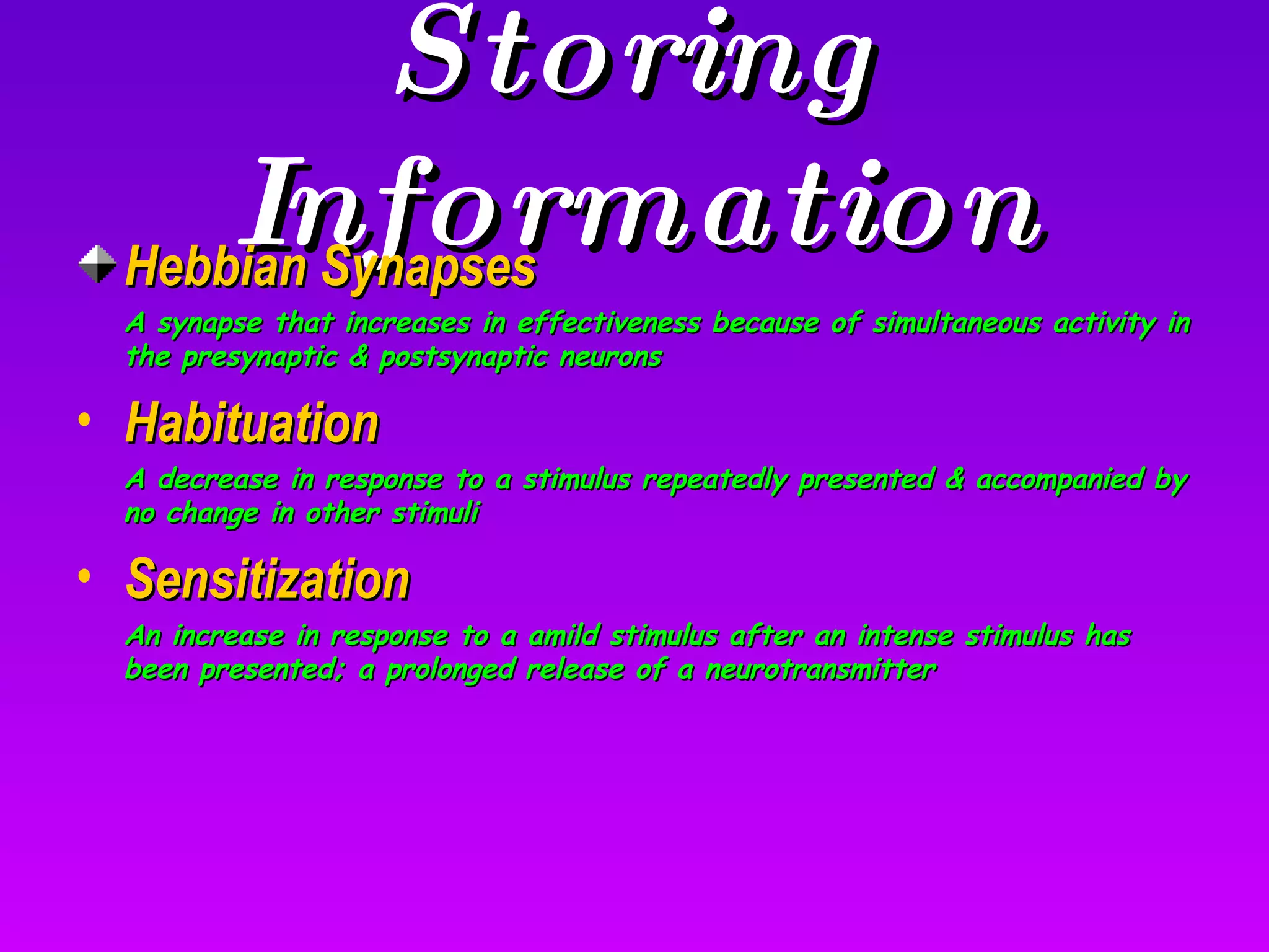 Storing Information Hebbian Synapses A synapse that increases in effectiveness because of simultaneous activity in the presynaptic & postsynaptic neurons Habituation A decrease in response to a stimulus repeatedly presented & accompanied by no change in other stimuli Sensitization An increase in response to a amild stimulus after an intense stimulus has been presented; a prolonged release of a neurotransmitter 