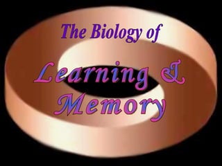 The Biology of Learning & Memory 