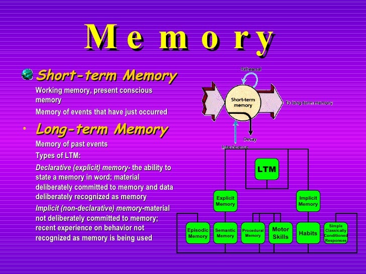 Chapter 13 The Biology Of Learning Memory Chapter 13 The Biology Of Learning Memory