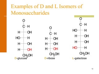 13
Examples of D and L Isomers of
Monosaccharides
O
CH2OH
H OH
H OH
HO H
OHH
C H
CH2OH
H OH
H OH
OHH
HC
O
H
O
CH2OH
HO H
H OH
H OH
HHO
C
D-glucose D-ribose L-galactose
 