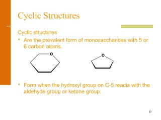 23
Cyclic Structures
Cyclic structures
 Are the prevalent form of monosaccharides with 5 or
6 carbon atoms.
 Form when the hydroxyl group on C-5 reacts with the
aldehyde group or ketone group.
O O
 