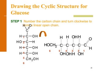 25
Drawing the Cyclic Structure for
Glucose
STEP 1 Number the carbon chain and turn clockwise to
form a linear open chain.
HHO
H
CH2OH
OHC
H
H
OH
OH
C
C
C
OH
C
1
2
3
4
5
6
6 5 4 3 2 1
H
OHH
OH
C
H H
OH OH
C C C
H
O
CHOCH2
 
