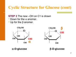 27
Cyclic Structure for Glucose (cont)
α-D-glucose β-D-glucose
STEP 3 The new –OH on C1 is drawn
 Down for the α anomer.
 Up for the β anomer.
O
CH2OH
OH
OH
OH
OH
O
CH2OH
OH
OH
OH
OH
β
α
 