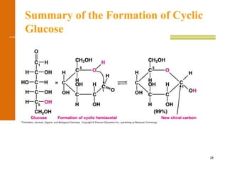 28
Summary of the Formation of Cyclic
Glucose
 