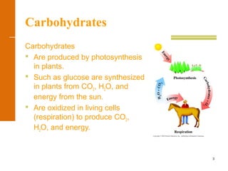 3
Carbohydrates
Carbohydrates
 Are produced by photosynthesis
in plants.
 Such as glucose are synthesized
in plants from CO2, H2O, and
energy from the sun.
 Are oxidized in living cells
(respiration) to produce CO2,
H2O, and energy.
 