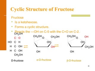 30
Cyclic Structure of Fructose
Fructose
 Is a ketohexose.
 Forms a cyclic structure.
 Reacts the —OH on C-5 with the C=O on C-2.
D-fructose β-D-fructoseα-D-fructose
O CH2OH
OH
OH
OH
CH2OH
O OH
CH2OH
OH
OH
CH2OH
H OH
H OH
HHO
O
CH2OH
C
C
C
C
CH2OH
 