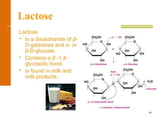 43
Lactose
Lactose
 Is a disaccharide of β-
D-galactose and α- or
β-D-glucose.
 Contains a β -1,4-
glycosidic bond.
 Is found in milk and
milk products.
α-form
 