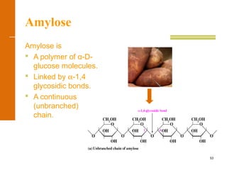 53
Amylose
Amylose is
 A polymer of α-D-
glucose molecules.
 Linked by α-1,4
glycosidic bonds.
 A continuous
(unbranched)
chain.
 