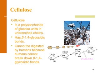 56
Cellulose
Cellulose
 Is a polysaccharide
of glucose units in
unbranched chains.
 Has β-1,4-glycosidic
bonds.
 Cannot be digested
by humans because
humans cannot
break down β-1,4-
glycosidic bonds.
 