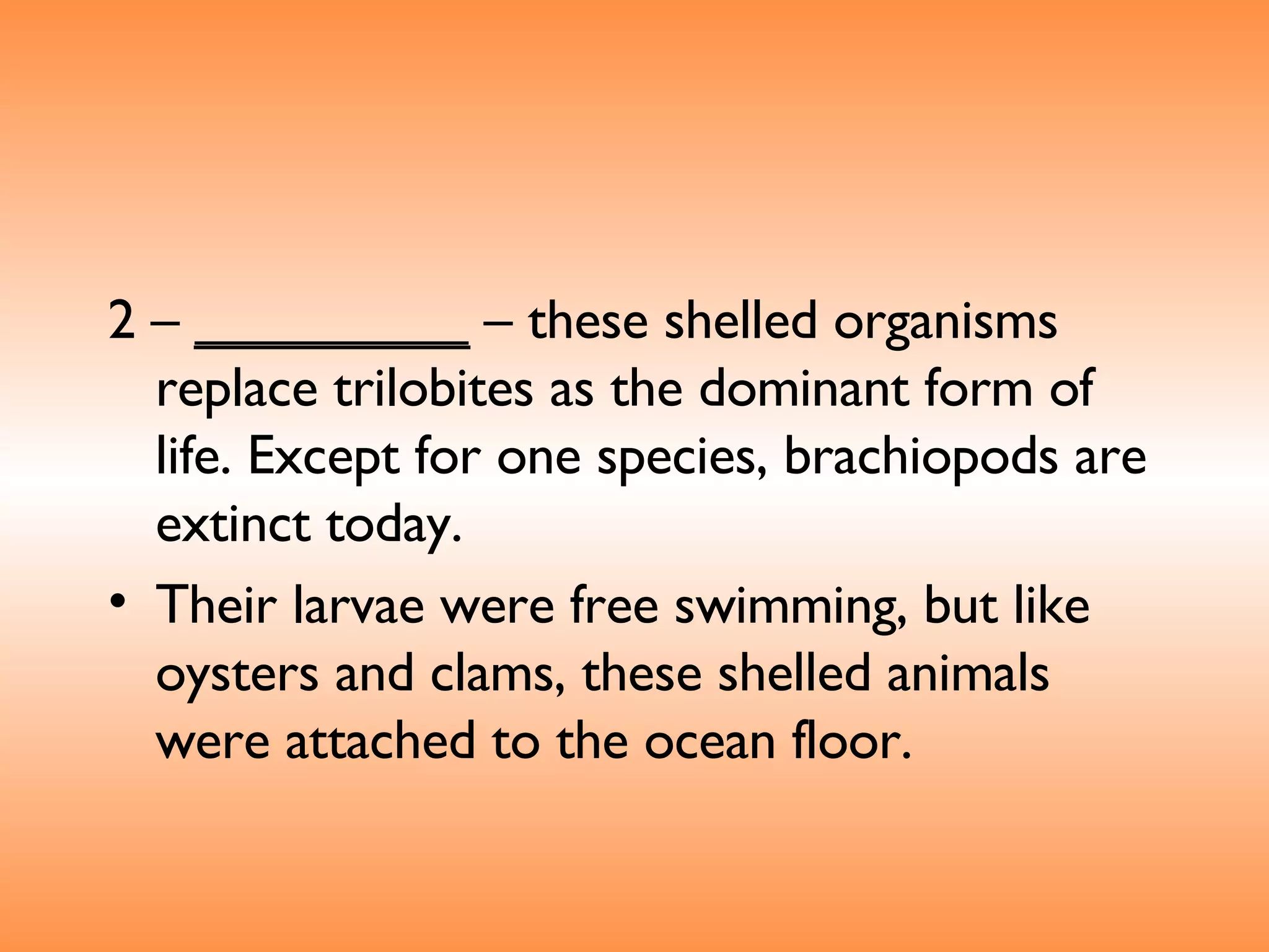 2 –  _________  – these shelled organisms replace trilobites as the dominant form of life. Except for one species, brachiopods are extinct today.  Their larvae were free swimming, but like oysters and clams, these shelled animals were attached to the ocean floor.  