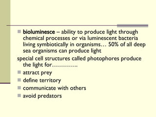 bioluminesce  – ability to produce light through chemical processes or via luminescent bacteria living symbiotically in organisms… 50% of all deep sea organisms can produce light special cell structures called photophores produce the light for…………. attract prey define territory communicate with others avoid predators  