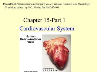 Cardiovascular System Chapter 15-Part 1 PowerPoint Presentation to accompany  Hole’s Human Anatomy and Physiology,  10 th  edition ,  edited   by S.C. Wache for Biol2074.01 