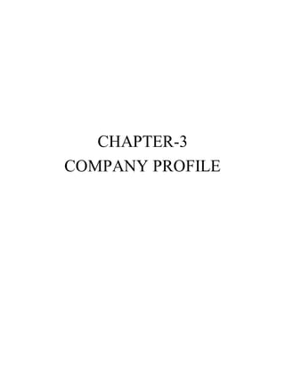 CHAPTER-3
COMPANY PROFILE
 
