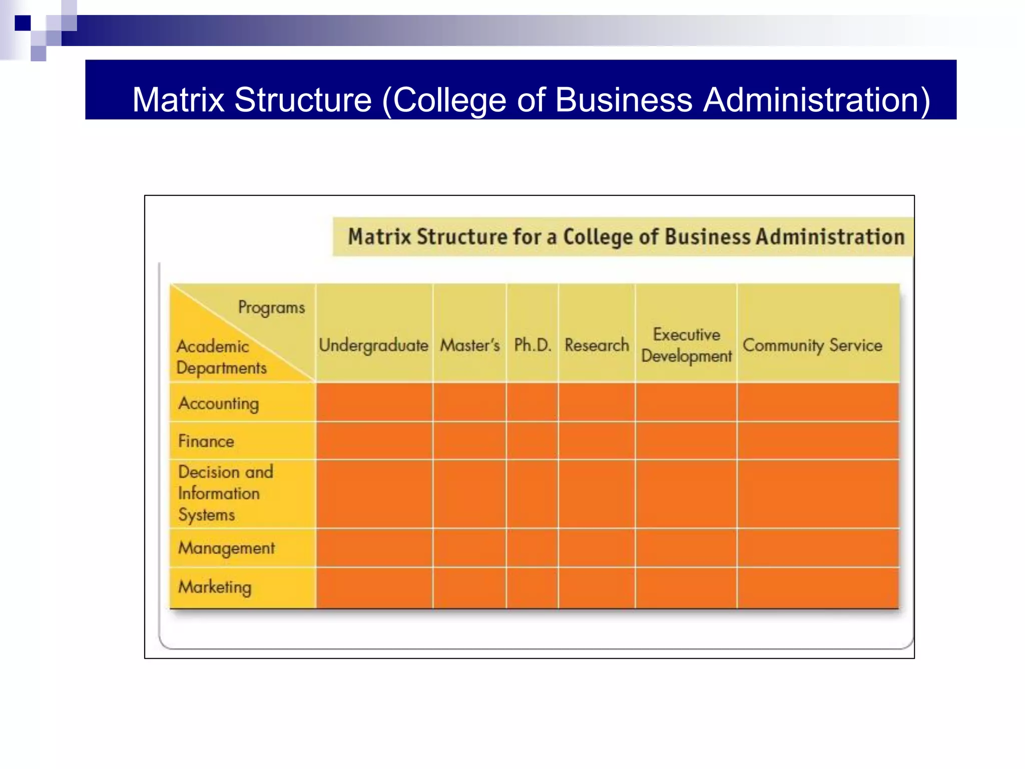 Matrix Structure (College of Business Administration)
 
