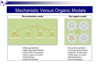 Mechanistic Versus Organic Models
 