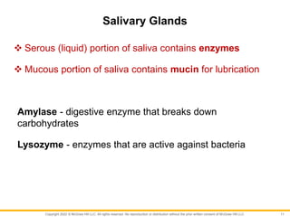 Copyright 2022 © McGraw Hill LLC. All rights reserved. No reproduction or distribution without the prior written consent of McGraw Hill LLC.
Salivary Glands
 Serous (liquid) portion of saliva contains enzymes
 Mucous portion of saliva contains mucin for lubrication
Amylase - digestive enzyme that breaks down
carbohydrates
Lysozyme - enzymes that are active against bacteria
11
 