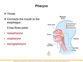 Copyright 2022 © McGraw Hill LLC. All rights reserved. No reproduction or distribution without the prior written consent of McGraw Hill LLC.
Pharynx
 Throat
 Connects the mouth to the
esophagus
It has three parts:
• nasopharynx
• oropharynx
• laryngopharynx
12
 