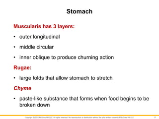Copyright 2022 © McGraw Hill LLC. All rights reserved. No reproduction or distribution without the prior written consent of McGraw Hill LLC.
Stomach
Muscularis has 3 layers:
• outer longitudinal
• middle circular
• inner oblique to produce churning action
Rugae:
• large folds that allow stomach to stretch
Chyme
• paste-like substance that forms when food begins to be
broken down
17
 