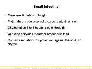 Copyright 2022 © McGraw Hill LLC. All rights reserved. No reproduction or distribution without the prior written consent of McGraw Hill LLC.
Small Intestine
• Measures 6 meters in length
• Major absorptive organ of the gastrointestinal tract
• Chyme takes 3 to 5 hours to pass through
• Contains enzymes to further breakdown food
• Contains secretions for protection against the acidity of
chyme
22
 