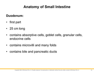 Copyright 2022 © McGraw Hill LLC. All rights reserved. No reproduction or distribution without the prior written consent of McGraw Hill LLC.
Anatomy of Small Intestine
Duodenum:
• first part
• 25 cm long
• contains absorptive cells, goblet cells, granular cells,
endocrine cells
• contains microvilli and many folds
• contains bile and pancreatic ducts
23
 