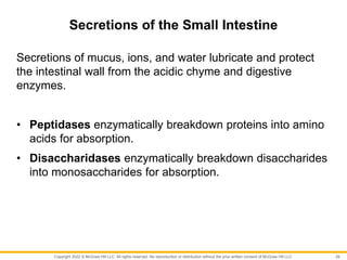 Copyright 2022 © McGraw Hill LLC. All rights reserved. No reproduction or distribution without the prior written consent of McGraw Hill LLC.
Secretions of the Small Intestine
Secretions of mucus, ions, and water lubricate and protect
the intestinal wall from the acidic chyme and digestive
enzymes.
• Peptidases enzymatically breakdown proteins into amino
acids for absorption.
• Disaccharidases enzymatically breakdown disaccharides
into monosaccharides for absorption.
26
 