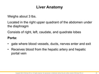 Copyright 2022 © McGraw Hill LLC. All rights reserved. No reproduction or distribution without the prior written consent of McGraw Hill LLC.
Liver Anatomy
Weighs about 3 lbs.
Located in the right upper quadrant of the abdomen under
the diaphragm
Consists of right, left, caudate, and quadrate lobes
Porta:
• gate where blood vessels, ducts, nerves enter and exit
• Receives blood from the hepatic artery and hepatic
portal vein
28
 