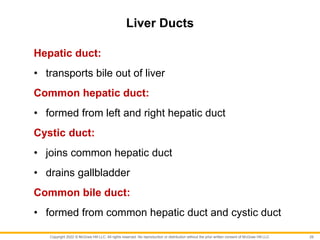 Copyright 2022 © McGraw Hill LLC. All rights reserved. No reproduction or distribution without the prior written consent of McGraw Hill LLC.
Liver Ducts
Hepatic duct:
• transports bile out of liver
Common hepatic duct:
• formed from left and right hepatic duct
Cystic duct:
• joins common hepatic duct
• drains gallbladder
Common bile duct:
• formed from common hepatic duct and cystic duct
29
 