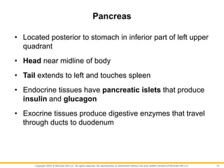 Copyright 2022 © McGraw Hill LLC. All rights reserved. No reproduction or distribution without the prior written consent of McGraw Hill LLC.
Pancreas
• Located posterior to stomach in inferior part of left upper
quadrant
• Head near midline of body
• Tail extends to left and touches spleen
• Endocrine tissues have pancreatic islets that produce
insulin and glucagon
• Exocrine tissues produce digestive enzymes that travel
through ducts to duodenum
31
 