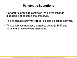 Copyright 2022 © McGraw Hill LLC. All rights reserved. No reproduction or distribution without the prior written consent of McGraw Hill LLC.
Pancreatic Secretions
• Pancreatic amylase continues the polysaccharide
digestion that began in the oral cavity.
• The pancreatic enzyme lipase is a lipid-digesting enzyme.
• The pancreatic nuclease enzymes degrade DNA and
RNA to their component ucleotides.
33
 