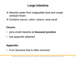 Copyright 2022 © McGraw Hill LLC. All rights reserved. No reproduction or distribution without the prior written consent of McGraw Hill LLC.
Large Intestine
 Absorbs water from indigestible food and create
compact feces
 Contains cecum, colon, rectum, anal canal
Cecum:
• joins small intestine at ileocecal junction
• has appendix attached
Appendix:
• 9 cm structure that is often removed
34
 