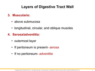 Copyright 2022 © McGraw Hill LLC. All rights reserved. No reproduction or distribution without the prior written consent of McGraw Hill LLC.
Layers of Digestive Tract Wall
3. Muscularis:
• above submucosa
• longitudinal, circular, and oblique muscles
4. Serosa/adventitia:
• outermost layer
• If peritoneum is present- serosa
• If no peritoneum- adventitia
7
 