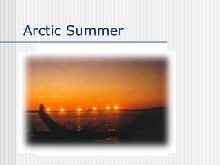 Arctic Summer 