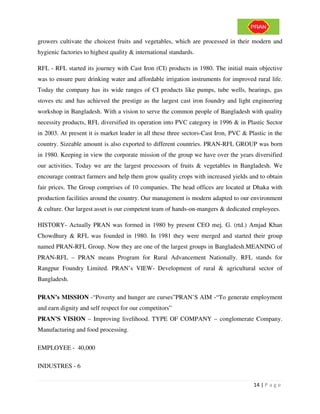 Analyzing the market of pran rfl | PDF