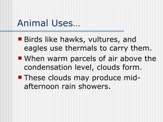Animal Uses… Birds like hawks, vultures, and eagles use thermals to carry them.   When warm parcels of air above the condensation level, clouds form.  These clouds may produce mid-afternoon rain showers.   