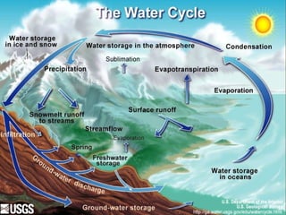 Water cycle 