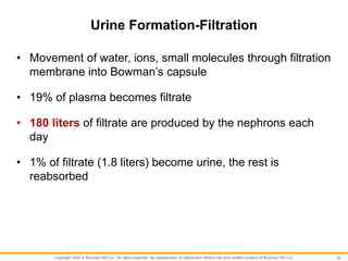 Copyright 2022 © McGraw Hill LLC. All rights reserved. No reproduction or distribution without the prior written consent of McGraw Hill LLC.
Urine Formation-Filtration
• Movement of water, ions, small molecules through filtration
membrane into Bowman’s capsule
• 19% of plasma becomes filtrate
• 180 liters of filtrate are produced by the nephrons each
day
• 1% of filtrate (1.8 liters) become urine, the rest is
reabsorbed
22
 