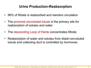 Copyright 2022 © McGraw Hill LLC. All rights reserved. No reproduction or distribution without the prior written consent of McGraw Hill LLC.
Urine Production-Reabsorption
• 99% of filtrate is reabsorbed and reenters circulation
• The proximal convoluted tubule is the primary site for
reabsorption of solutes and water
• The descending Loop of Henle concentrates filtrate
• Reabsorption of water and solutes from distal convoluted
tubule and collecting duct is controlled by hormones
23
 