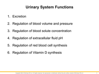 Copyright 2022 © McGraw Hill LLC. All rights reserved. No reproduction or distribution without the prior written consent of McGraw Hill LLC.
Urinary System Functions
1. Excretion
2. Regulation of blood volume and pressure
3. Regulation of blood solute concentration
4. Regulation of extracellular fluid pH
5. Regulation of red blood cell synthesis
6. Regulation of Vitamin D synthesis
3
 